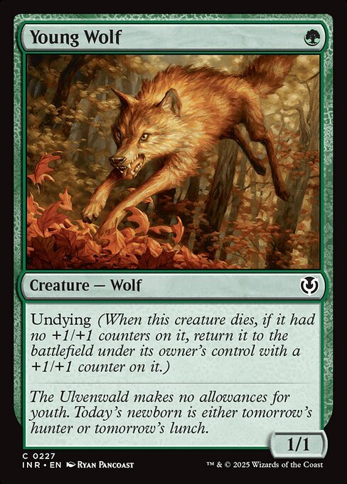 Young Wolf card from INR #227
