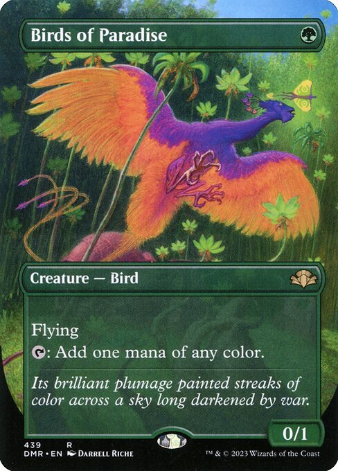 Birds of Paradise card from DMR #439