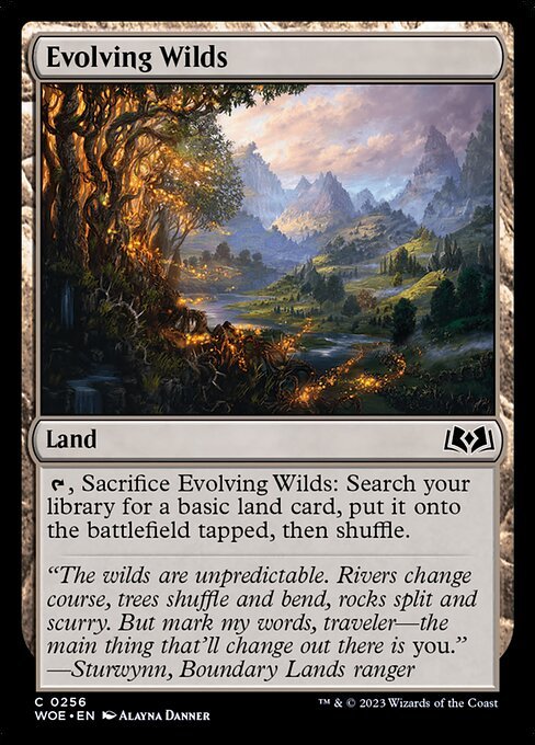Evolving Wilds card from WOE #256