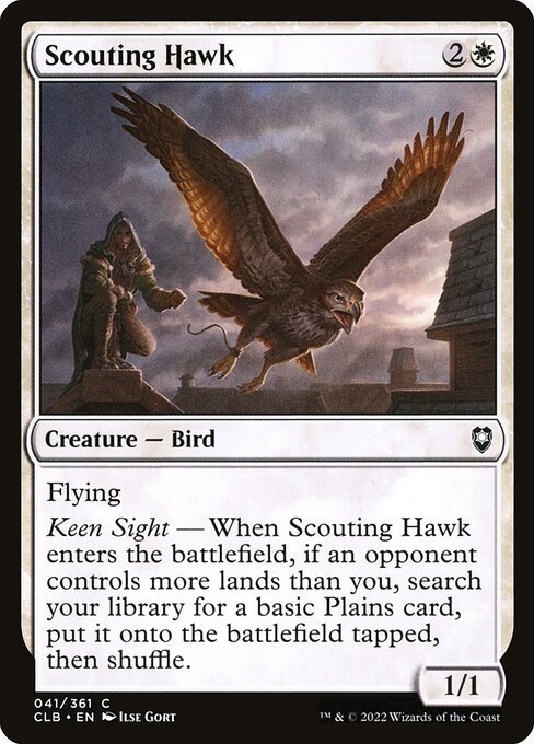 Scouting Hawk card from CLB #41