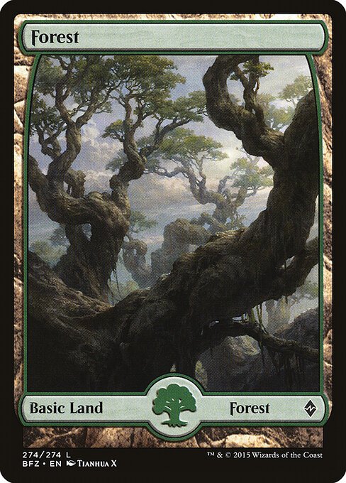 Forest (274) - Full Art card from BFZ #274