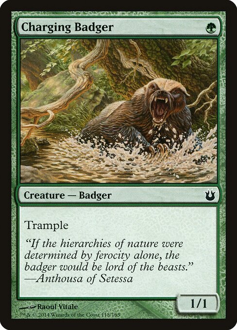 Charging Badger card from BNG #118