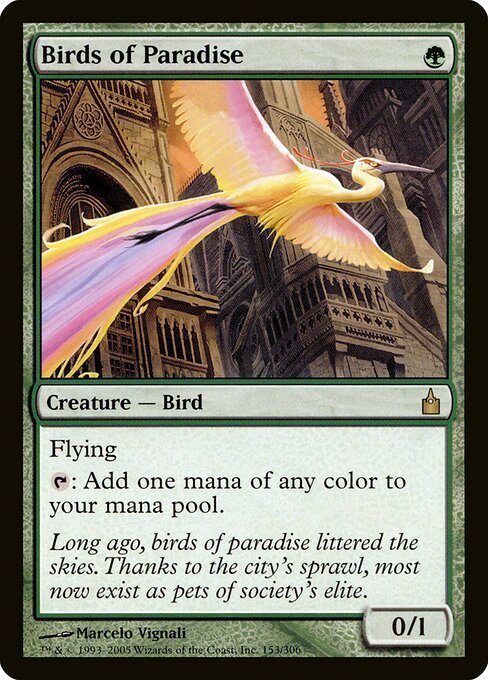 Birds of Paradise card from RAV #153