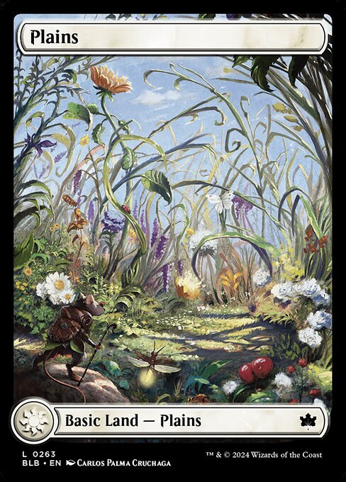 Plains (0263) card from BLB #263